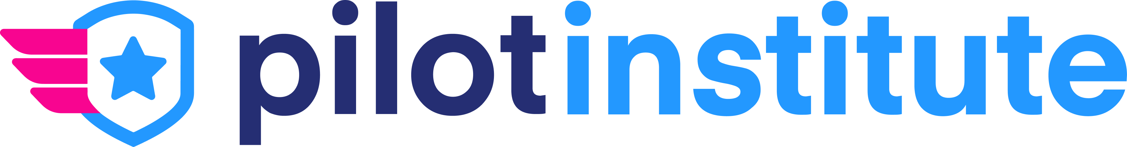 Pilot Institute
